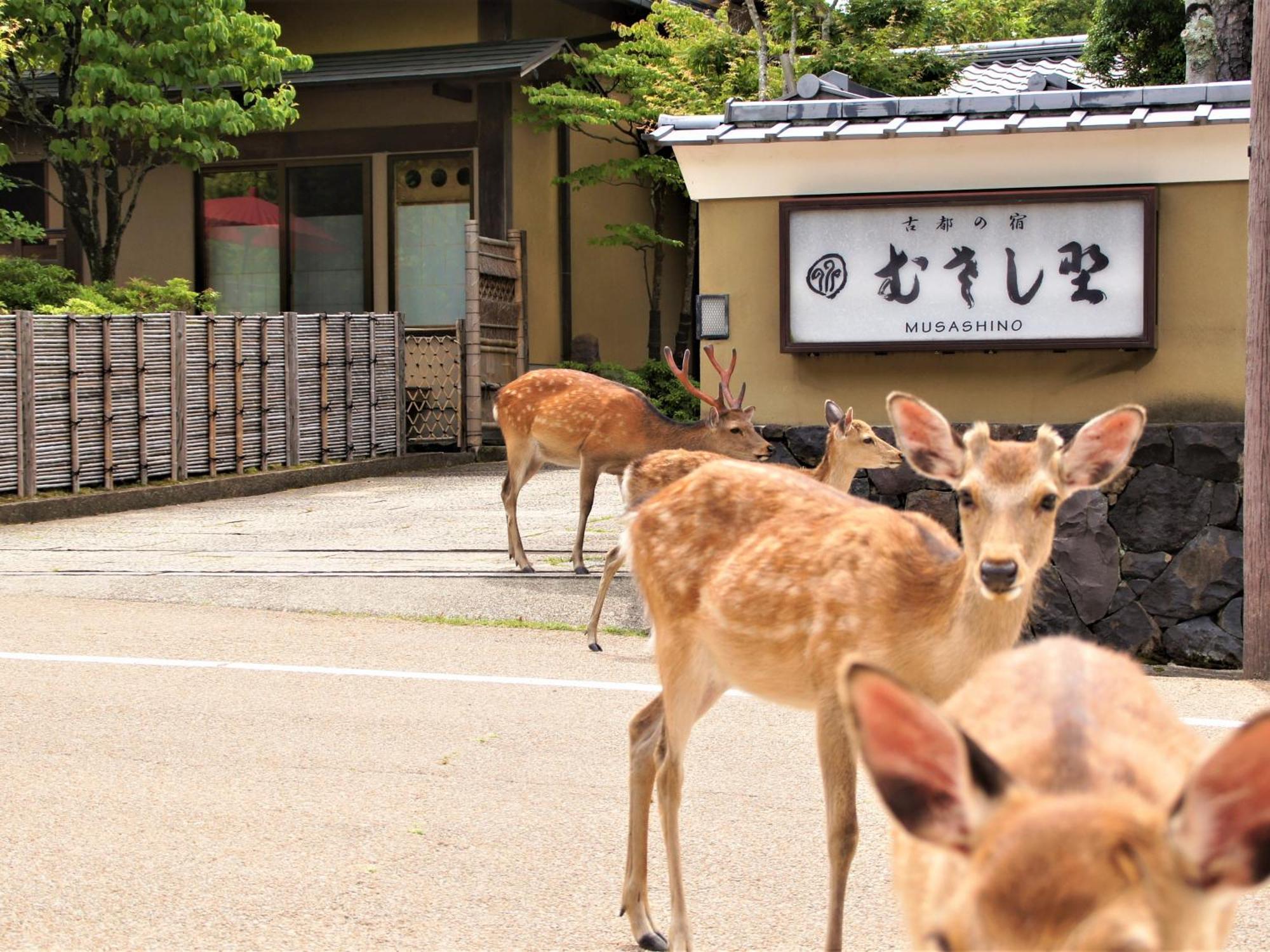 Kotonoyado Musashino Nara Exterior foto